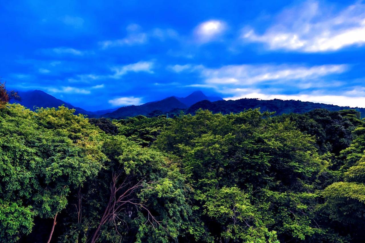 Villa Maria Tayrona, Jungle And Sea Experience Los Naranjos Luaran gambar