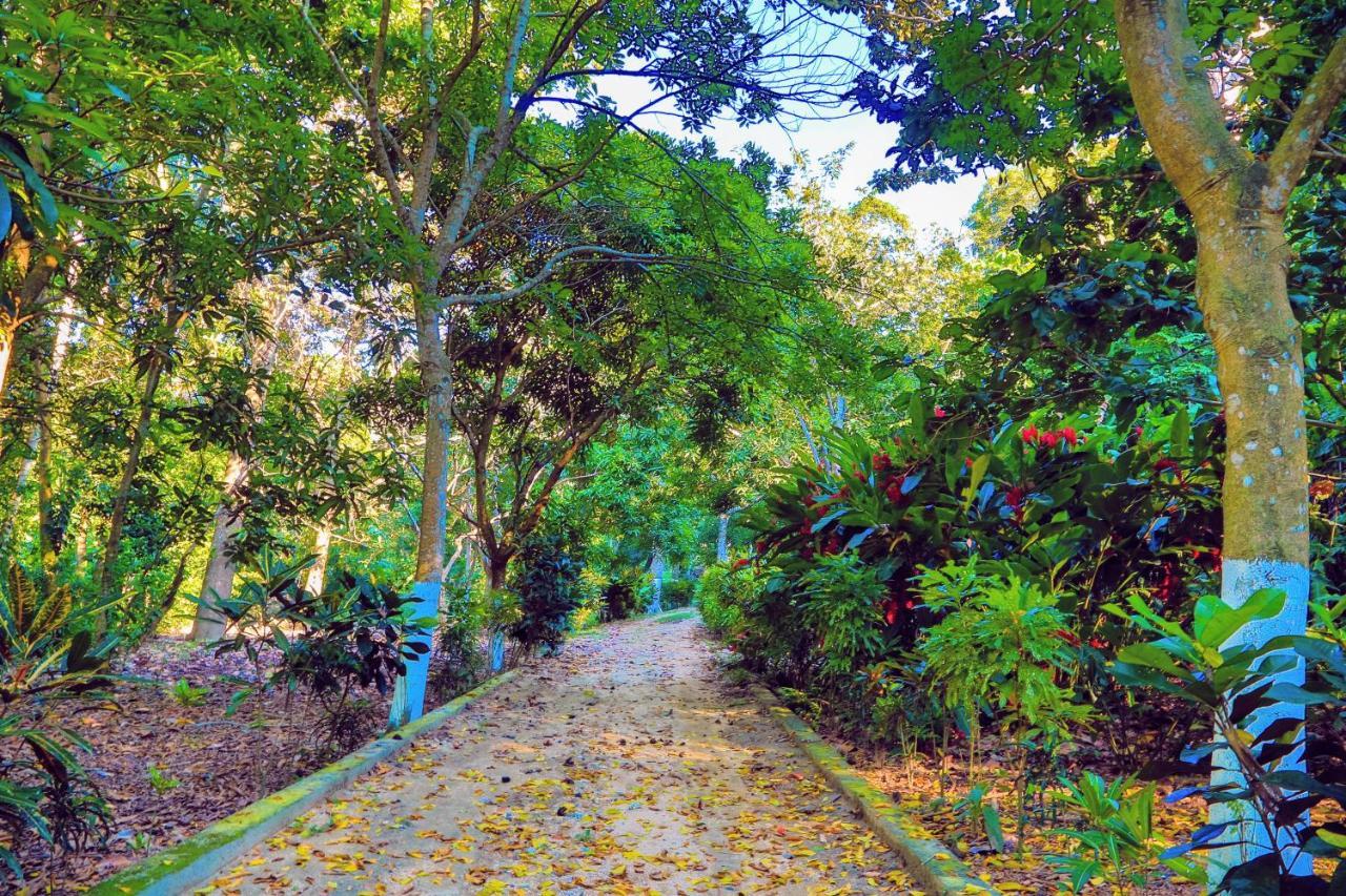 Villa Maria Tayrona, Jungle And Sea Experience Los Naranjos Luaran gambar