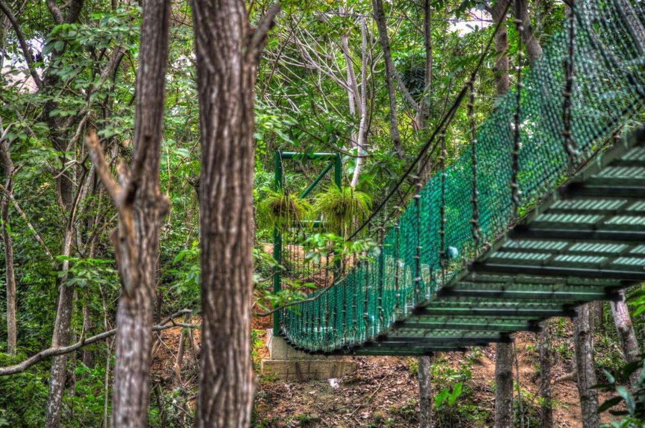 Villa Maria Tayrona, Jungle And Sea Experience Los Naranjos Luaran gambar