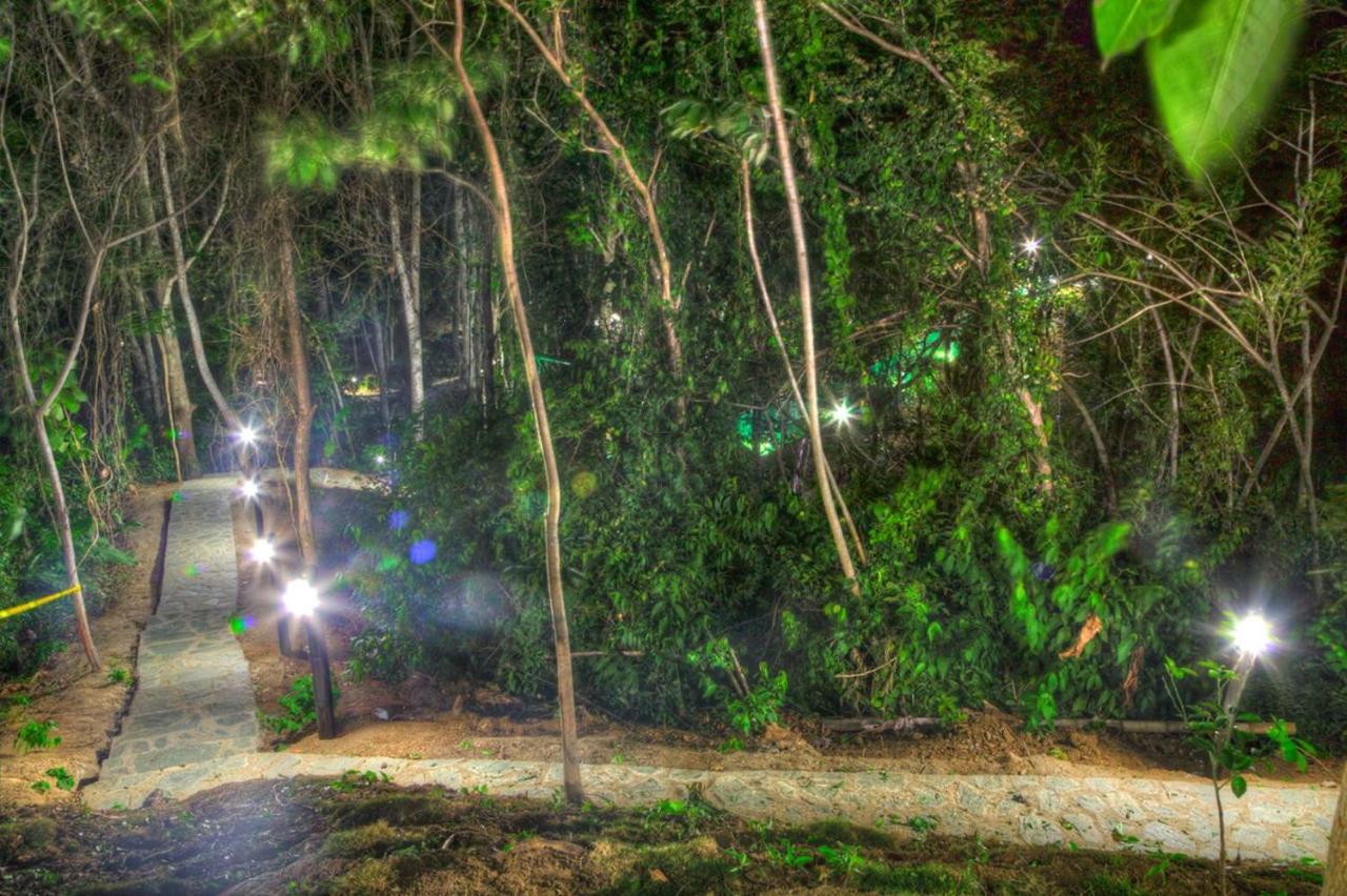 Villa Maria Tayrona, Jungle And Sea Experience Los Naranjos Luaran gambar