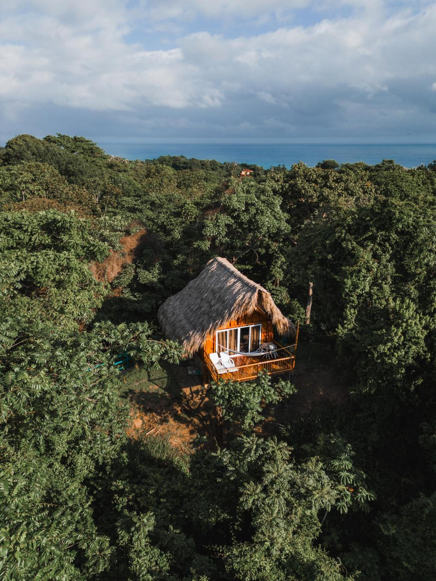 Villa Maria Tayrona, Jungle And Sea Experience Los Naranjos Luaran gambar