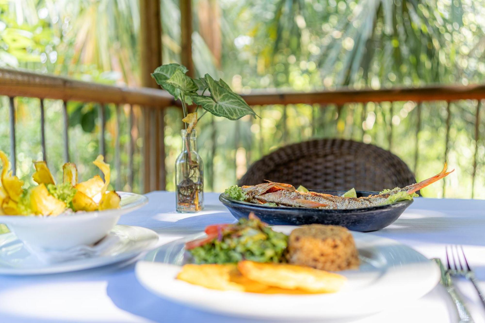 Villa Maria Tayrona, Jungle And Sea Experience Los Naranjos Luaran gambar
