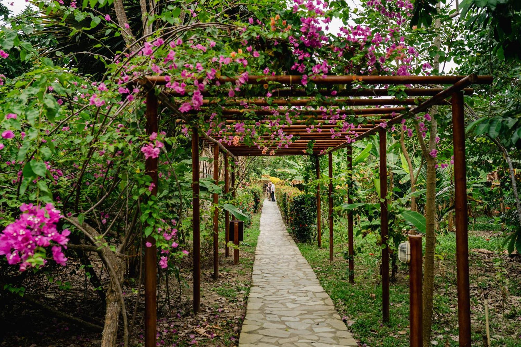 Villa Maria Tayrona, Jungle And Sea Experience Los Naranjos Luaran gambar